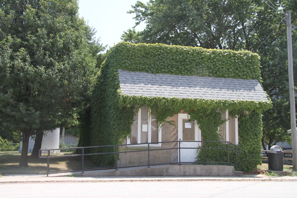 ivy on water department building