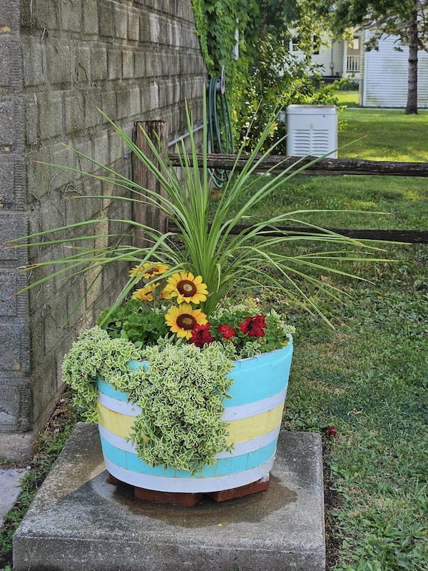 planter of flowers