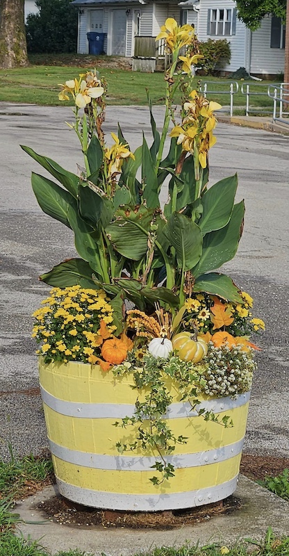 autumn planter